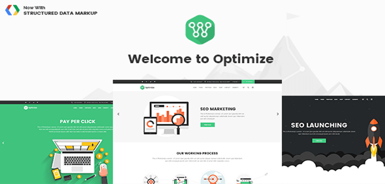 Item cover for download Optimize - SEO, Digital Marketing, Social Media Theme